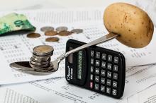 Role of Accounting in Development