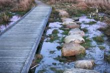 Inclusiveness allows failures to learn from mistakes